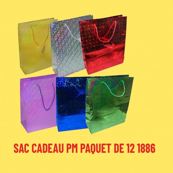 SAC CADEAU PM PAQUET DE 12...