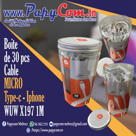 Boite de 30 pcs Cable